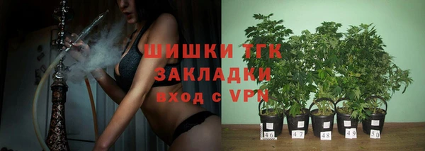 мдпв Бугульма