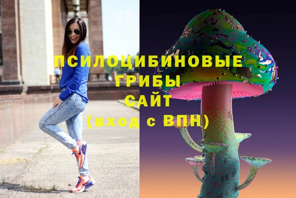 стафф Бородино
