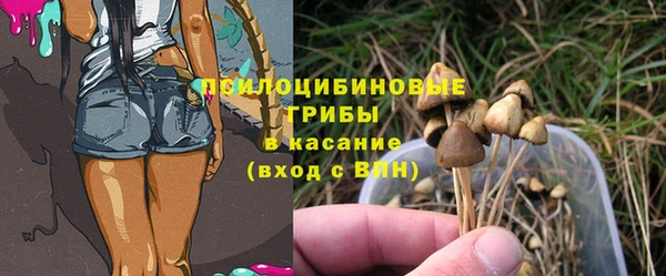 мдпв Бугульма