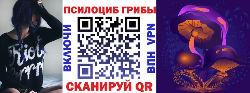 Псилоцибиновые грибы Magic Shrooms  Владимир 